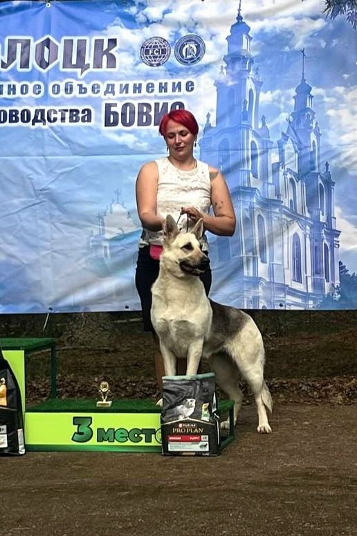 Фото новости